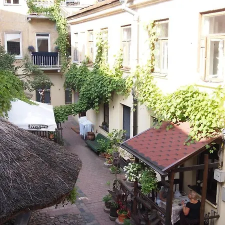 Gabi Nakvynė ir pusryčiai Vilnius