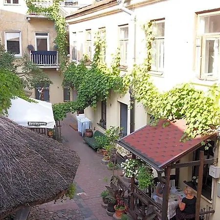 Gabi Nakvynė ir pusryčiai Vilnius