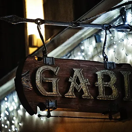 Gabi * Аеропорт Вільнюс